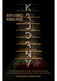 Kajdany