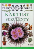 Kaktusy i inne sukulenty 101 praktycznych porad