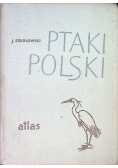Ptaki Polski