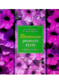 Słoneczne promyki nadziei