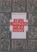Mój Chrystus Połamany