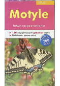 Atlas motyle