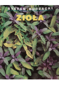 Zioła