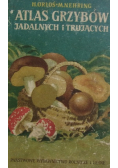 Atlas Grzybów Jadalnych i Trujących