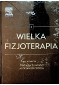 Wielka fizjoterapia Tom 3