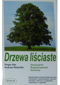 Drzewa liściaste