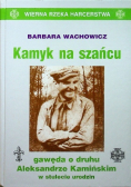 Kamyk na szańcu