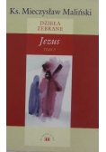 Dzieła zebrane Jezus Tom 1