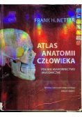 Atlas anatomii człowieka