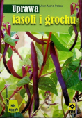 Uprawa fasoli i grochu