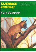 Tajemnice Zwierząt Koty domowe