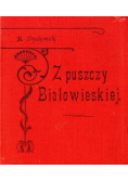 Z puszczy Białowieskiej, 1908 r.