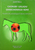 Choroby układu oddechowego koni