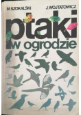 Ptak w ogrodzie