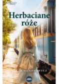 Herbaciane róże