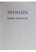 Spinoza Pisma Wczesne