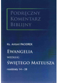 Ewangelia według świętego Mateusza rozdziały 14 - 28