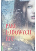 Pąki lodowych róż