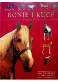 Konie i kuce Kompendium