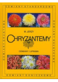 Chryzantemy