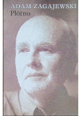 Płótno