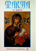 Maryja w Biblii