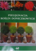 Pielęgnacja roślin doniczkowych