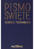 Pismo święte nowego testamentu