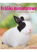 Króliki miniaturowe