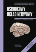 Anatomia Prawidłowa Człowieka Ośrodkowy układ nerwowy