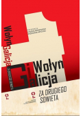 Wołyń i galicja