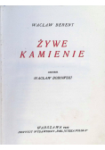 Żywe kamienie 1922 r.