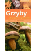 Grzyby