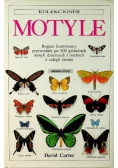 Kolekcjoner Motyle
