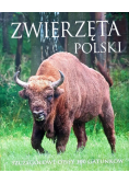 Zwierzęta Polski
