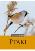 Ptaki