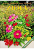 Zioła źródłem zdrowia