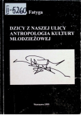 Dzicy z naszej ulicy antropologia kultury młodzieżowej
