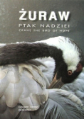 Żuraw  ptak nadziei Crane the bird of hope