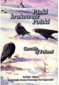 Ptaki krukowate Polski