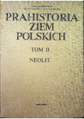 Prahistoria ziem Polskich Tom 2