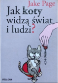 Jak koty widzą świat i ludzi
