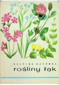 Rośliny łąk