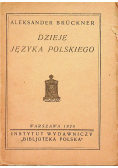 Dzieje języka polskiego 1925r.