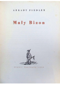 Mały Bizon