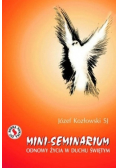 Mini seminarium