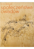 Społeczeństwa owadów