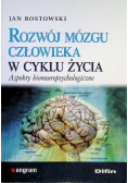 Rozwój mózgu człowieka w cyklu życia