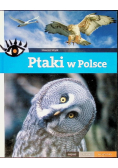 Ptaki w Polsce