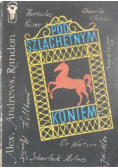 Pod szlachetnym koniem